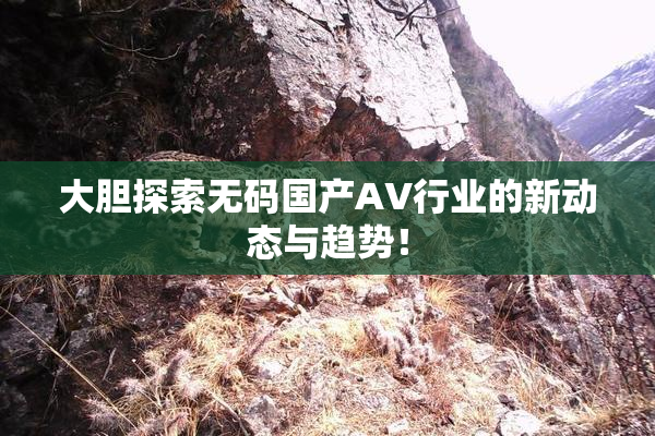 大胆探索无码国产AV行业的新动态与趋势！