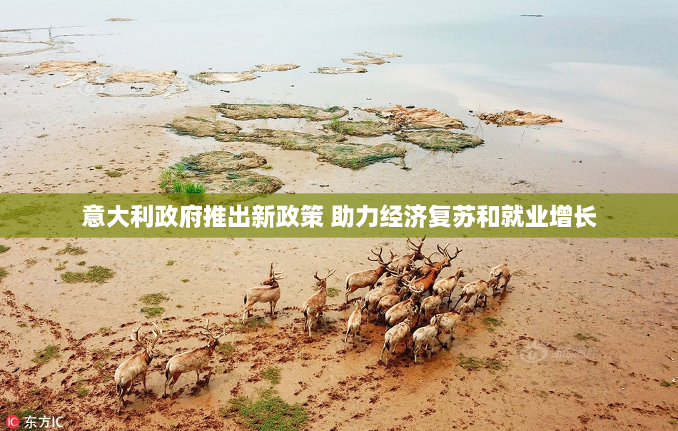 意大利政府推出新政策 助力经济复苏和就业增长