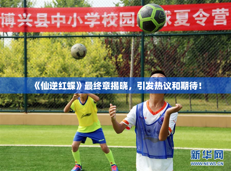 《仙逆红蝶》最终章揭晓，引发热议和期待！