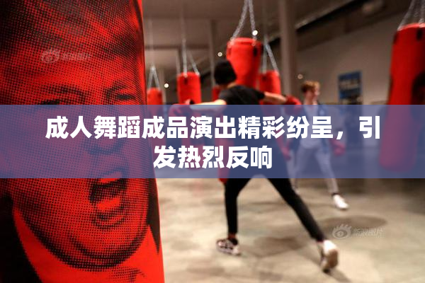 成人舞蹈成品演出精彩纷呈，引发热烈反响