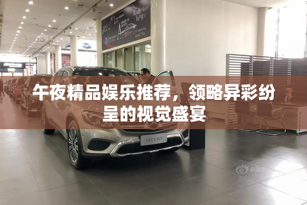 午夜精品娱乐推荐，领略异彩纷呈的视觉盛宴