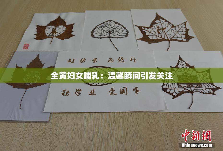 全黄妇女哺乳：温馨瞬间引发关注