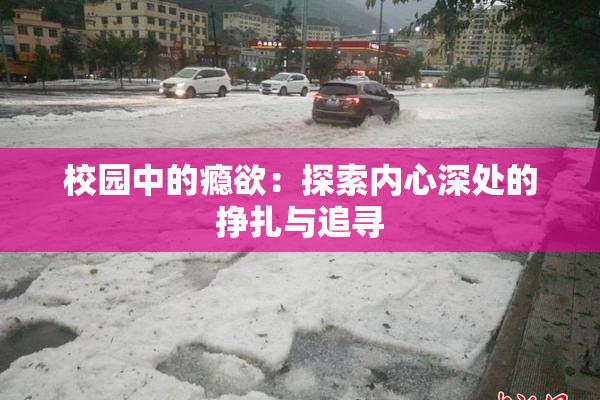 校园中的瘾欲：探索内心深处的挣扎与追寻