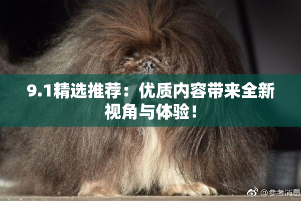 9.1精选推荐：优质内容带来全新视角与体验！
