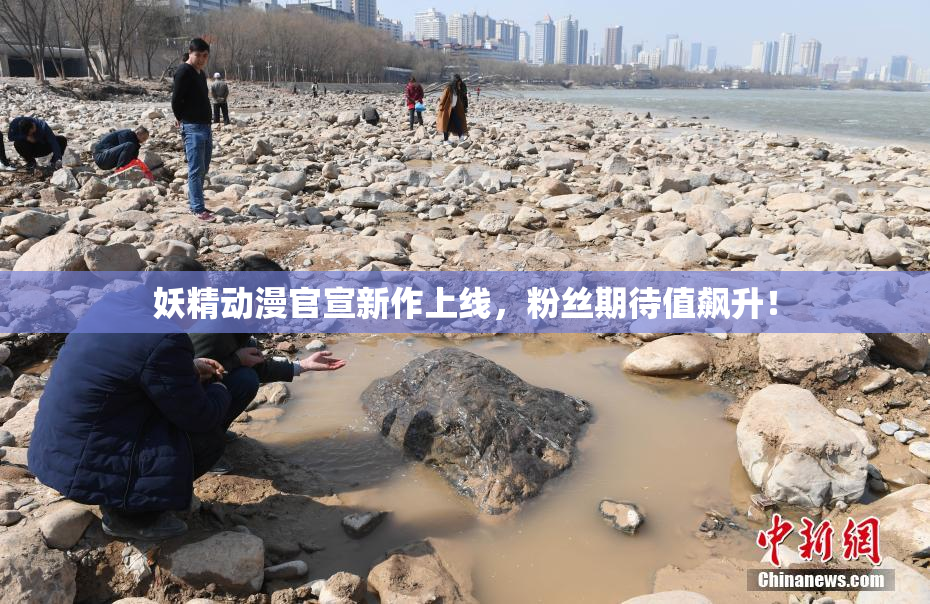 妖精动漫官宣新作上线，粉丝期待值飙升！