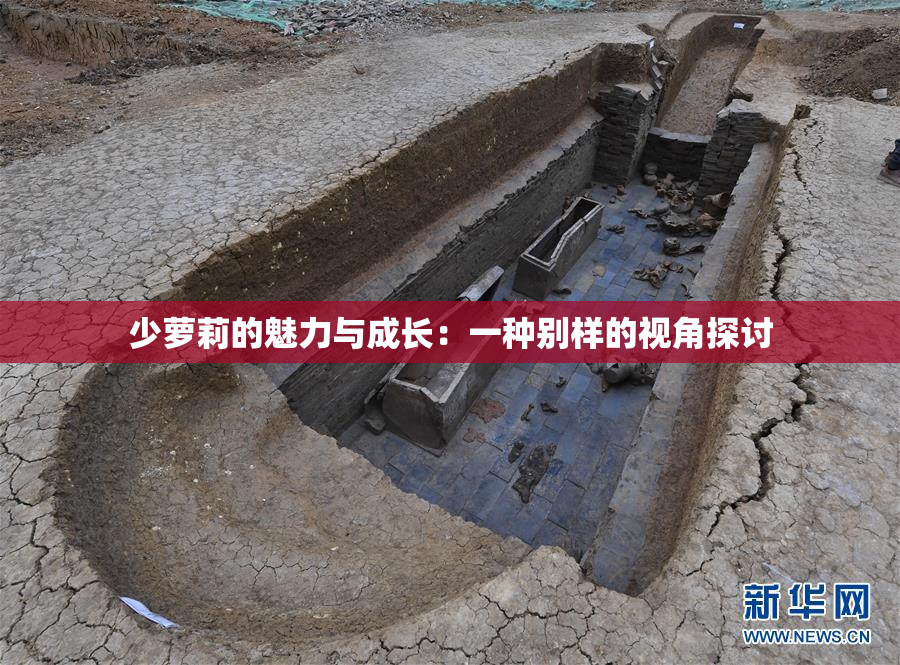 少萝莉的魅力与成长：一种别样的视角探讨