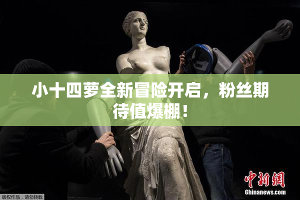 小十四萝全新冒险开启，粉丝期待值爆棚！