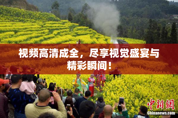 视频高清成全，尽享视觉盛宴与精彩瞬间！