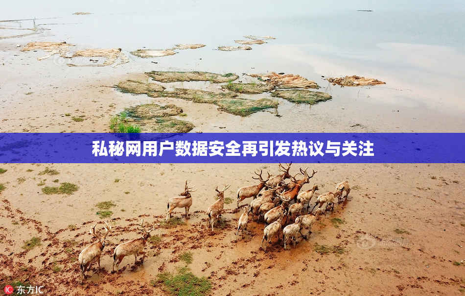 私秘网用户数据安全再引发热议与关注
