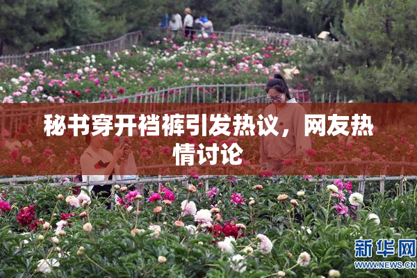 秘书穿开裆裤引发热议，网友热情讨论