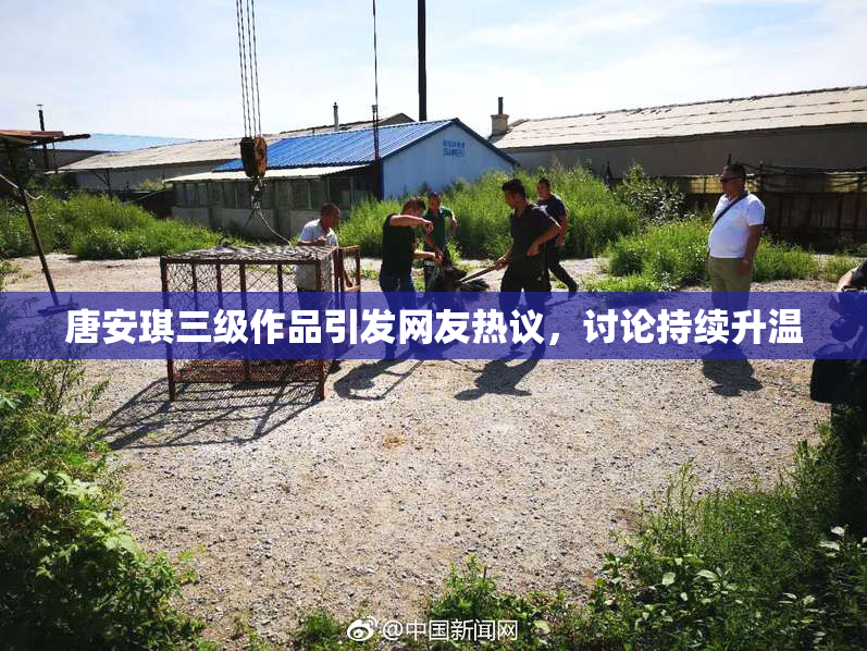 唐安琪三级作品引发网友热议，讨论持续升温
