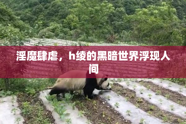 淫魔肆虐，h绫的黑暗世界浮现人间