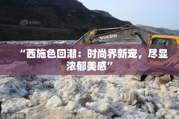 “西施色回潮：时尚界新宠，尽显浓郁美感”
