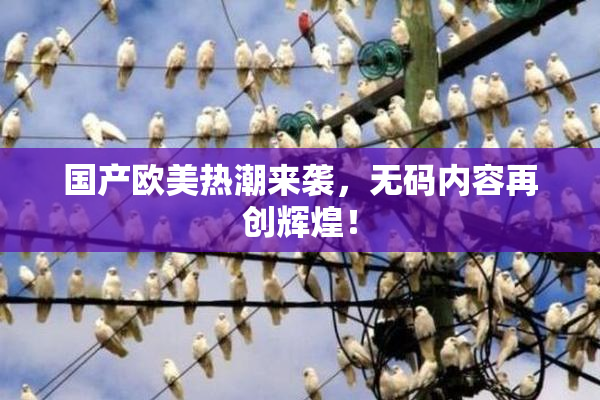 国产欧美热潮来袭，无码内容再创辉煌！