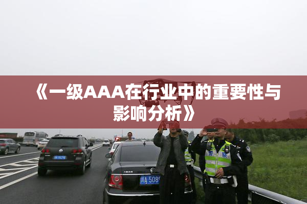 《一级AAA在行业中的重要性与影响分析》