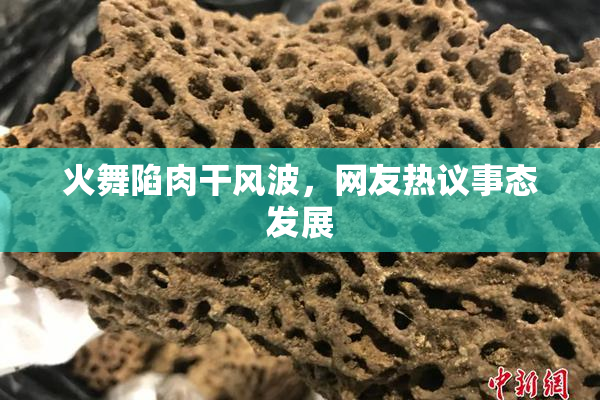 火舞陷肉干风波，网友热议事态发展
