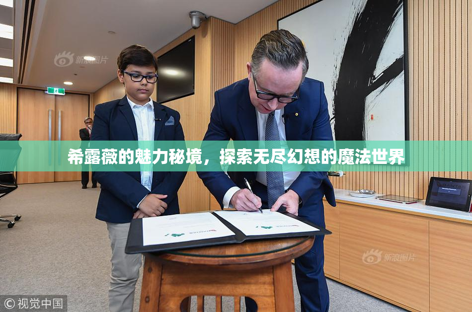 希露薇的魅力秘境，探索无尽幻想的魔法世界