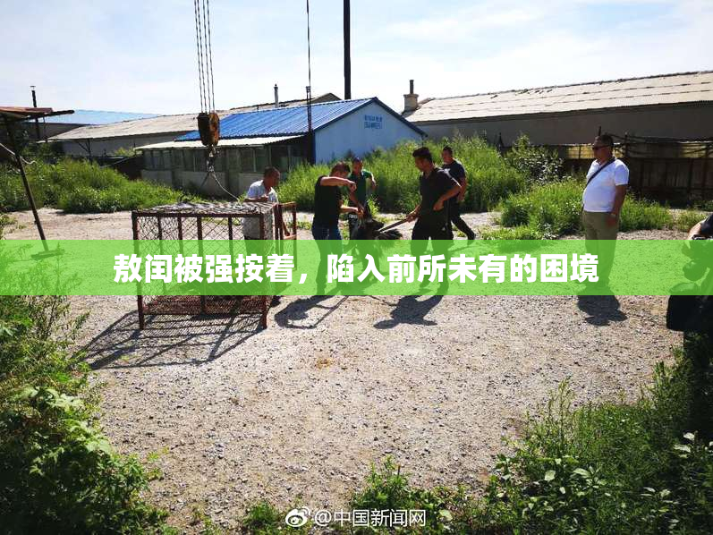 敖闰被强按着，陷入前所未有的困境