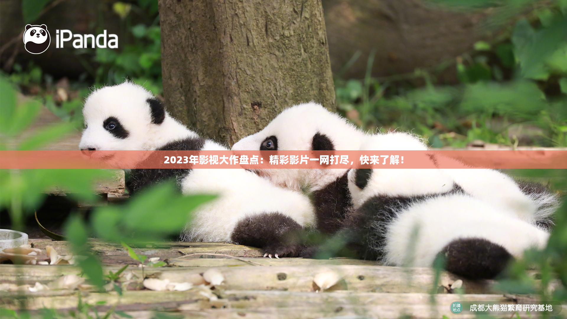 2023年影视大作盘点：精彩影片一网打尽，快来了解！