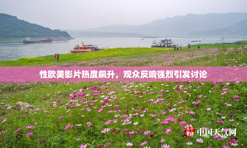 性欧美影片热度飙升，观众反响强烈引发讨论