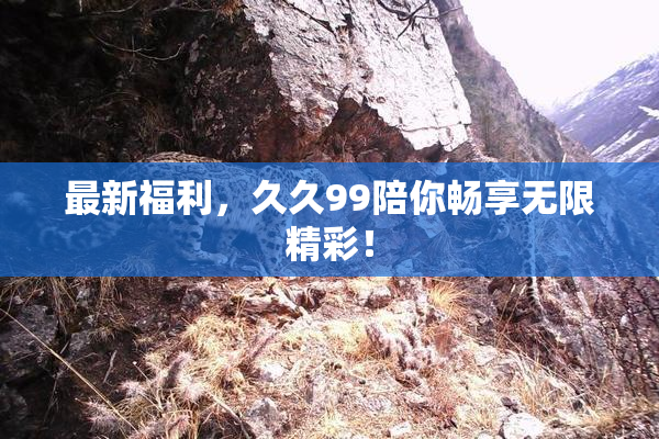 最新福利，久久99陪你畅享无限精彩！
