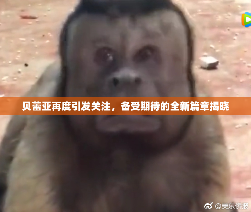 贝蕾亚再度引发关注，备受期待的全新篇章揭晓