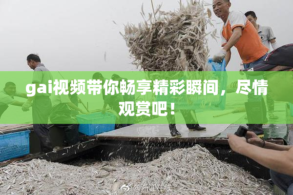 gai视频带你畅享精彩瞬间，尽情观赏吧！