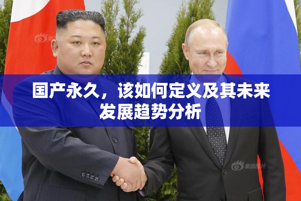 国产永久，该如何定义及其未来发展趋势分析