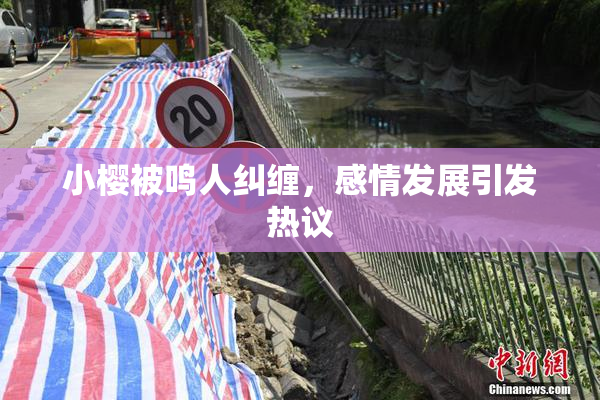 小樱被鸣人纠缠，感情发展引发热议