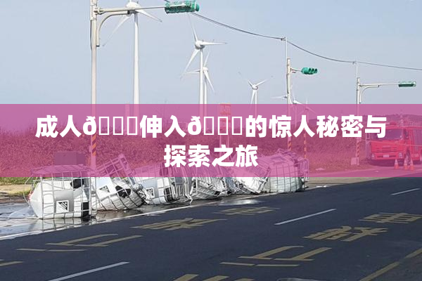 成人🍆伸入🍑的惊人秘密与探索之旅