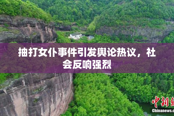 抽打女仆事件引发舆论热议，社会反响强烈
