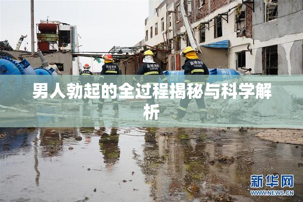 男人勃起的全过程揭秘与科学解析