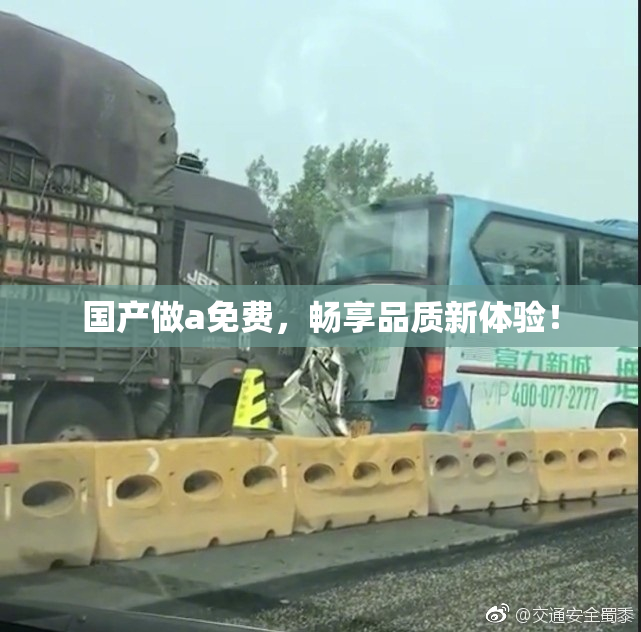 国产做a免费，畅享品质新体验！