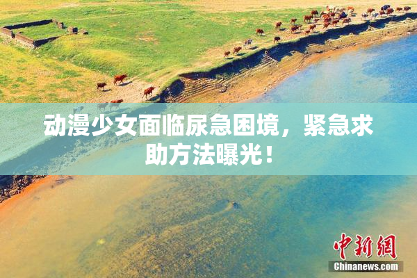 动漫少女面临尿急困境，紧急求助方法曝光！