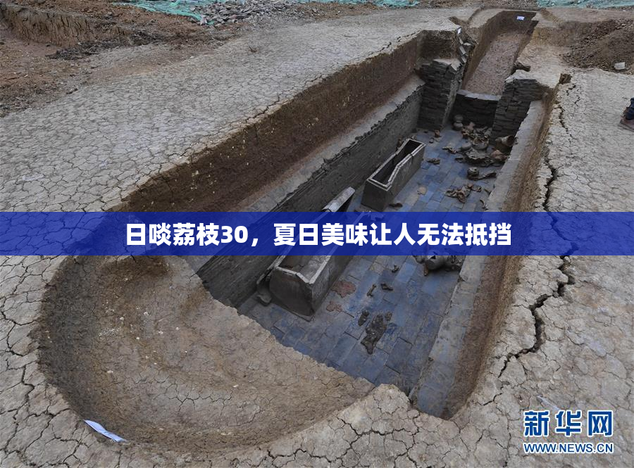 日啖荔枝30，夏日美味让人无法抵挡