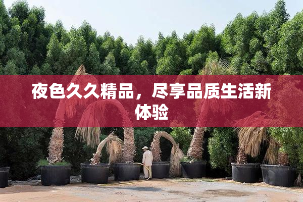 夜色久久精品，尽享品质生活新体验