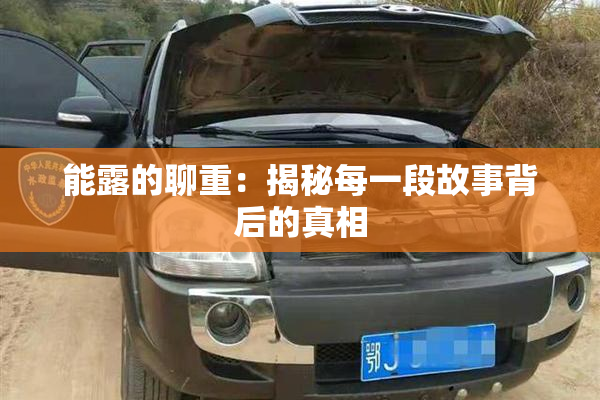 能露的聊重：揭秘每一段故事背后的真相
