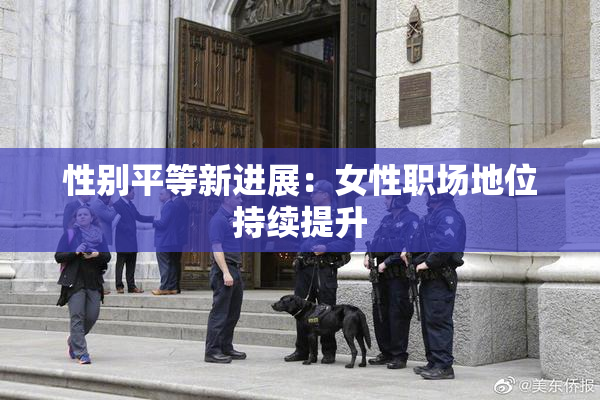 性别平等新进展：女性职场地位持续提升