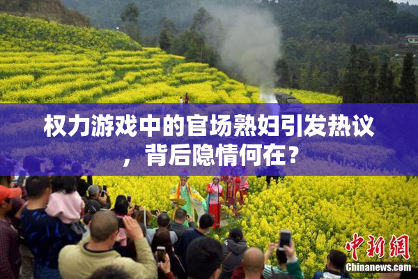 权力游戏中的官场熟妇引发热议，背后隐情何在？