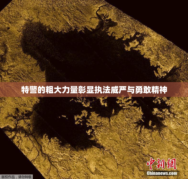 特警的粗大力量彰显执法威严与勇敢精神