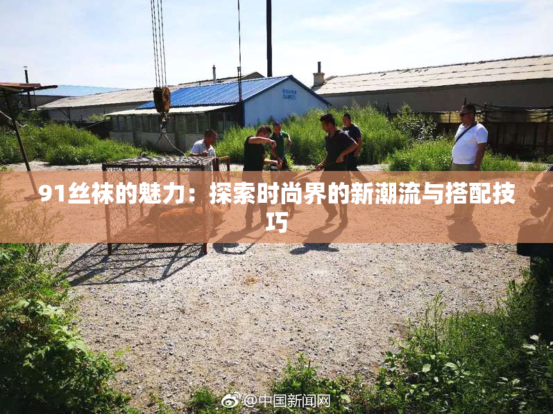 91丝袜的魅力：探索时尚界的新潮流与搭配技巧