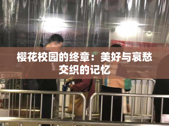 樱花校园的终章：美好与哀愁交织的记忆