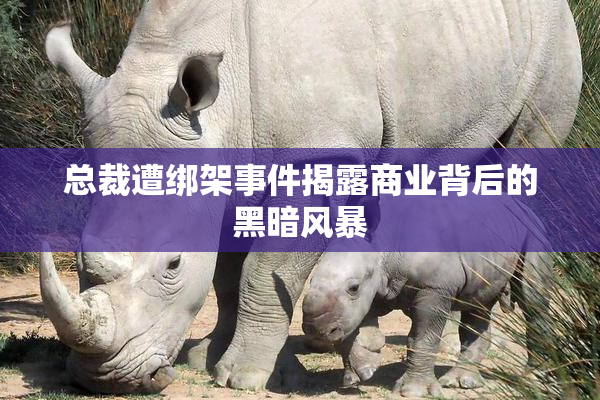 总裁遭绑架事件揭露商业背后的黑暗风暴