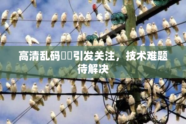 高清乱码❌‌引发关注，技术难题待解决