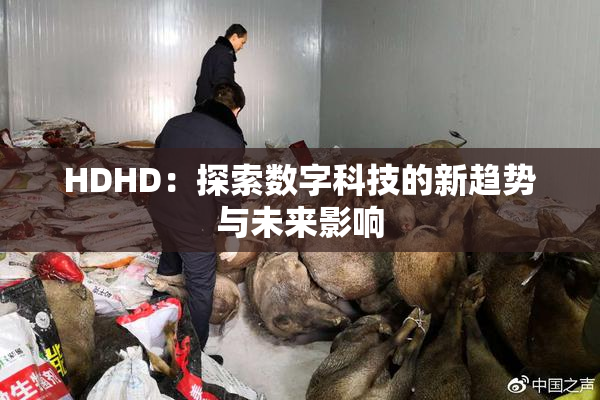 HDHD：探索数字科技的新趋势与未来影响