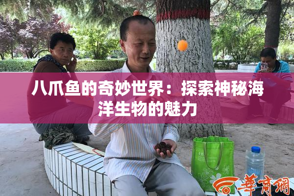 八爪鱼的奇妙世界：探索神秘海洋生物的魅力
