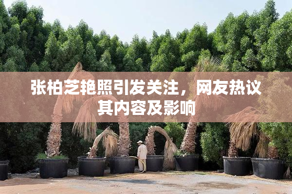 张柏芝艳照引发关注，网友热议其内容及影响