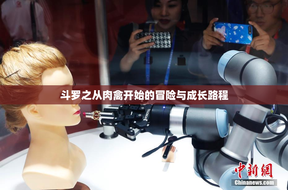 斗罗之从肉禽开始的冒险与成长路程