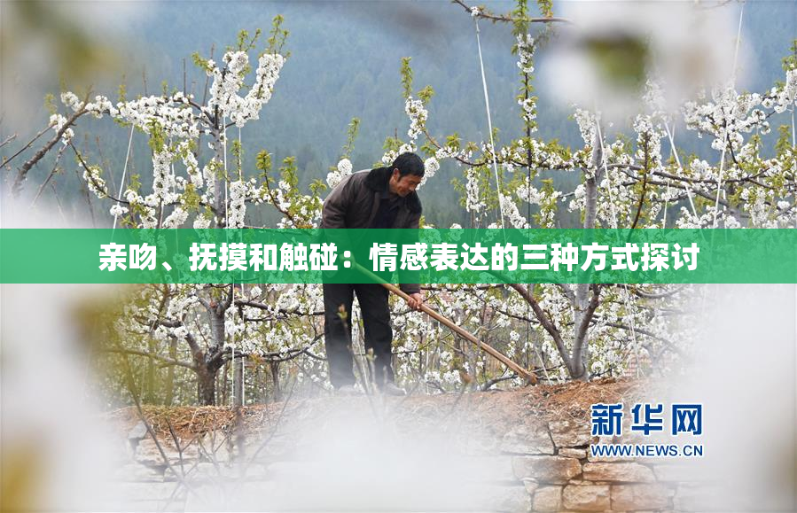 亲吻、抚摸和触碰：情感表达的三种方式探讨