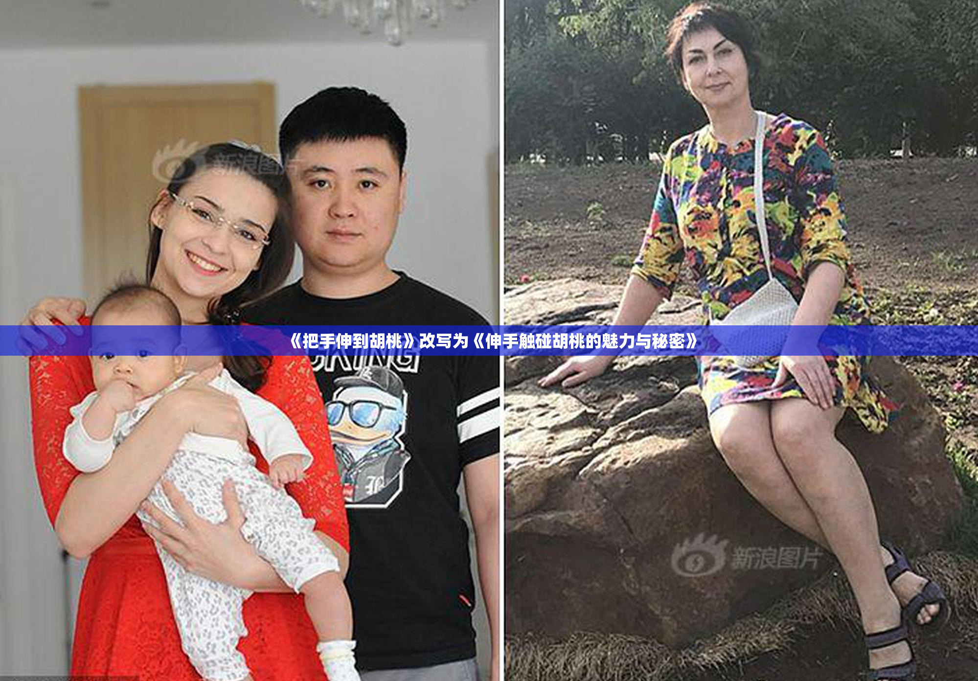 《把手伸到胡桃》改写为《伸手触碰胡桃的魅力与秘密》
